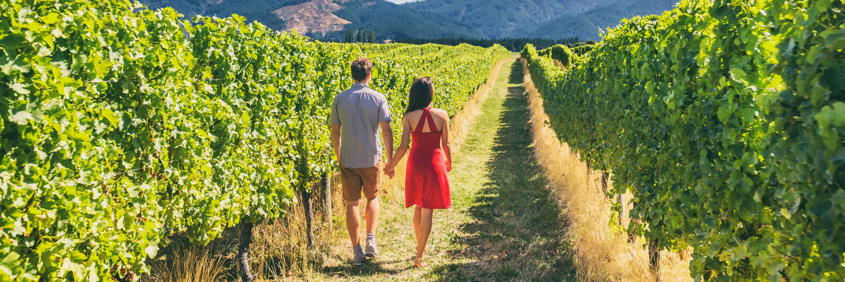 Winery Vineyard Tourists Couple Walking on Wine Farm Tour on Travel Vacation. Wine Tasting Holiday Panoramic Banner.